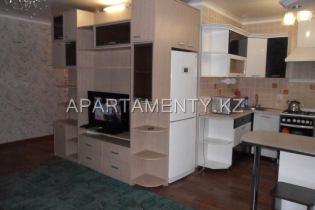 Studio apartment in the center daily