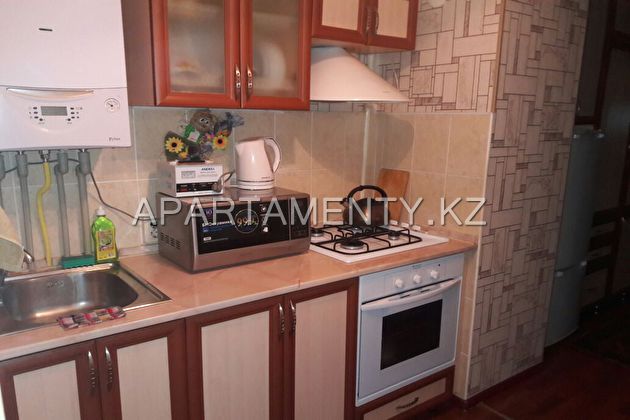 Apartment for daily rent in the center of the city