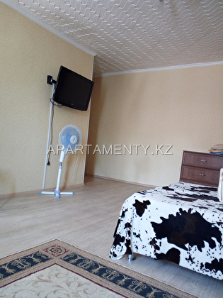 One room apartment by the day, on Gogolya