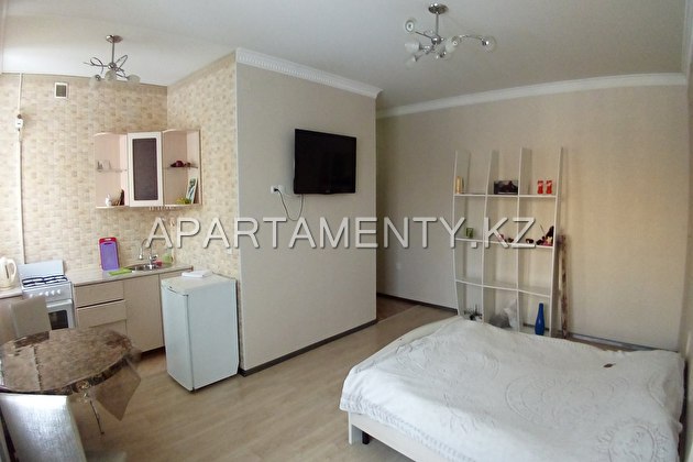 1-roomed apartment by the day in the center