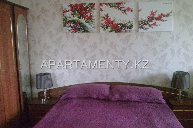 1-roomed apartment by the day in Karaganda