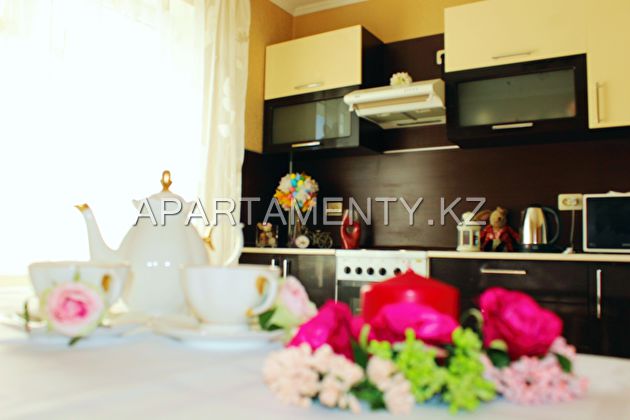 1-roomed apartment by the day in Kazan, center