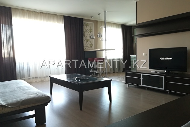 1-room apartment for daily rent in the city center
