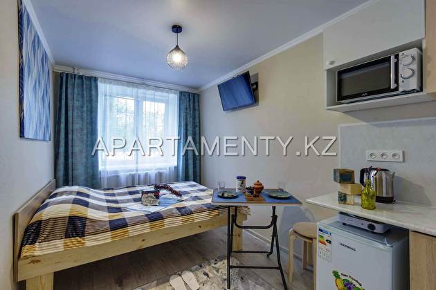 3-room studio apartment, Gagarina 210