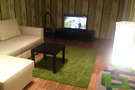 1-bedroom apartment daily in the center 1-bedroom apartment daily in the center
