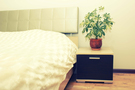 1 bedroom apartment in the center 1 bedroom apartment in the center