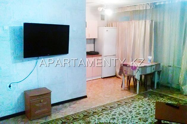 1-bedroom apartment daily