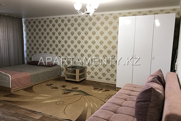 1 bedroom apartment in the city center