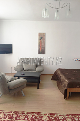 1-bedroom apartment daily