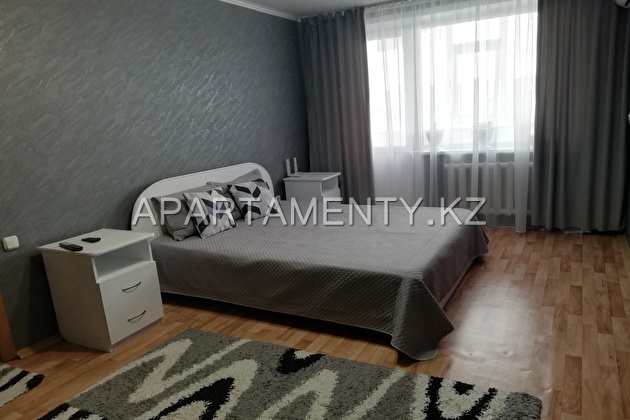 1-bedroom apartment daily