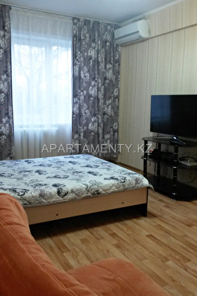 1 bedroom apartment in the center