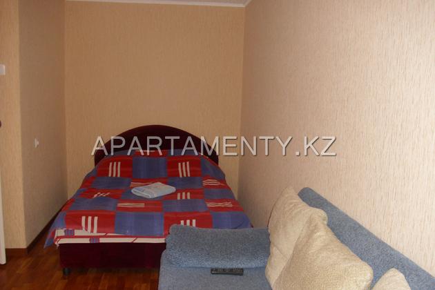 1-bedroom apartment in the center