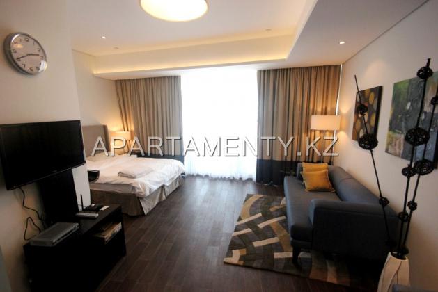 498 Furnished Studio in Matrix