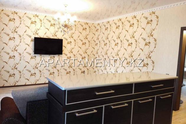 Двухкомнатная квартира Люкс посуточно