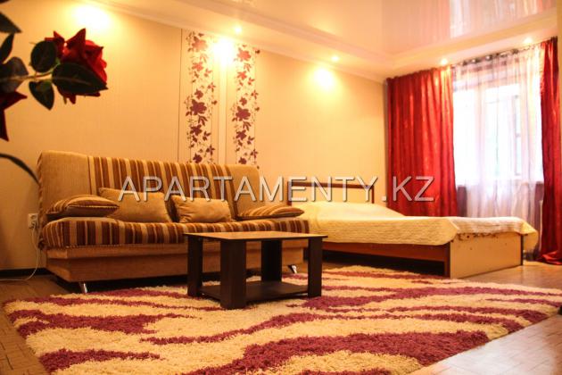 1-room apartment for a day in the center