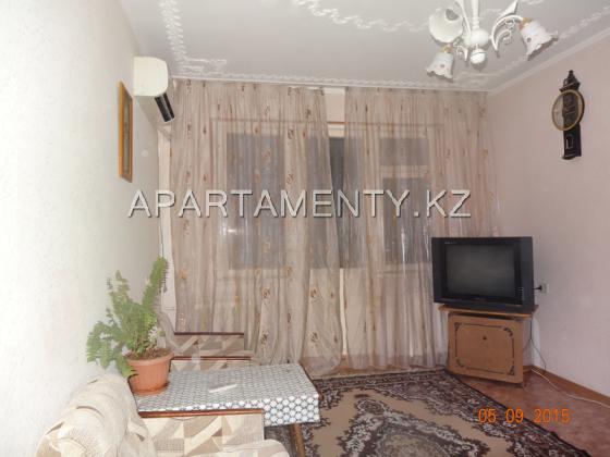 Studio apartment daily at the center