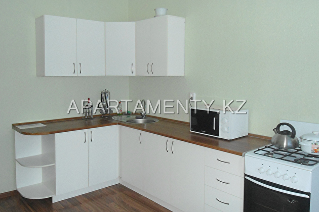 1-room apartment for daily rent