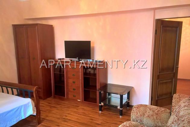 1 bedroom apartment in the city center