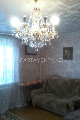 One bedroom apartment, Borovoye