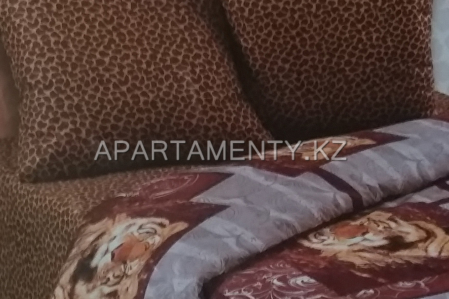 1-room apartment for daily rent, center