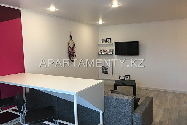 Studio apartment in the city center for a day