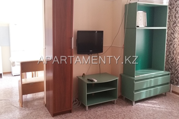 One-bedroom apartment for daily rent