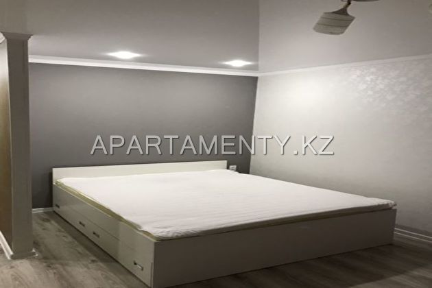 One room apartment by the day