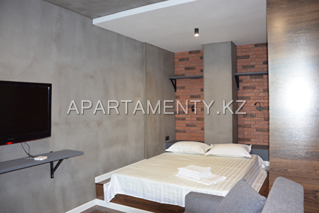 1-room apartment 