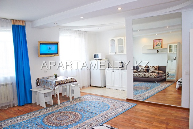 1-room apartment for daily rent