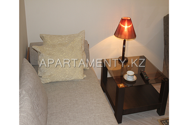 1-room apartment in the center of the city for dai