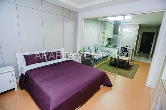 1 bedroom apartment in Astana