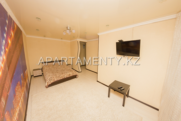 1-room apartment for daily rent in the center