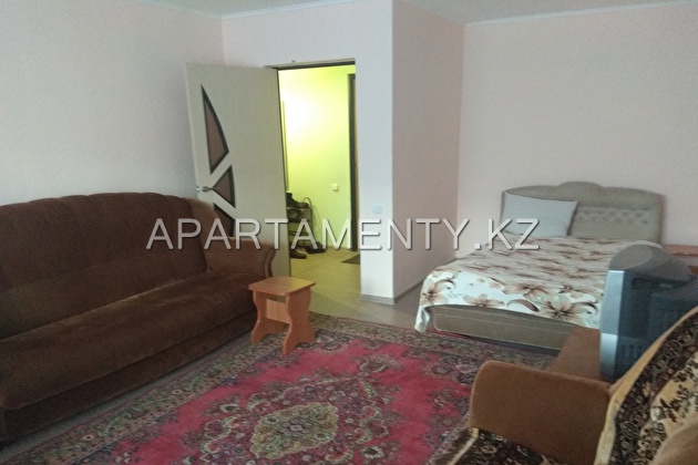 1-room apartment for daily rent in Borovoye