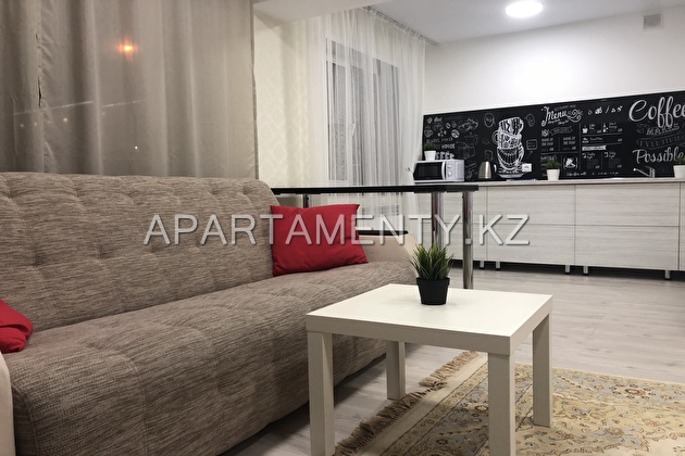 1-room apartment for daily rent, ul. Almaty 72