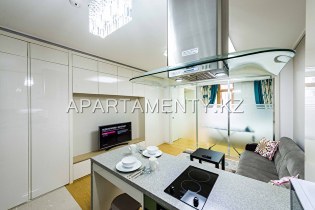 1-room apartment for daily rent, ul. Koshkarbaeva