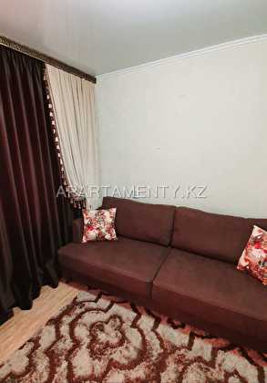 1 bedroom apartment in the city center