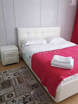 1 bedroom apartment in the city center