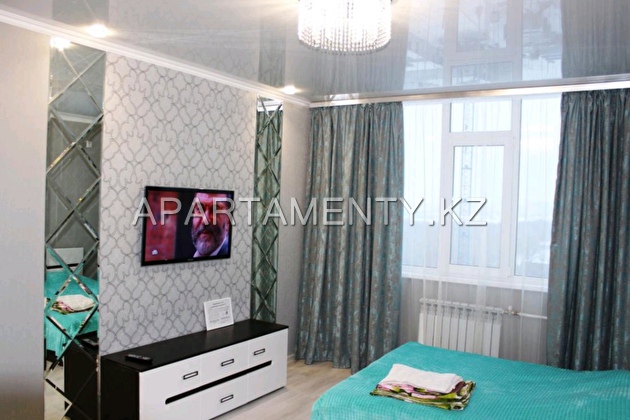 1-room apartment for daily rent