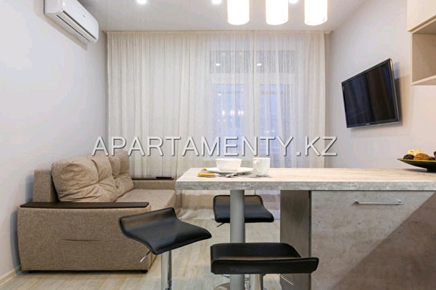 1-room apartment for daily rent, 11 MKR.