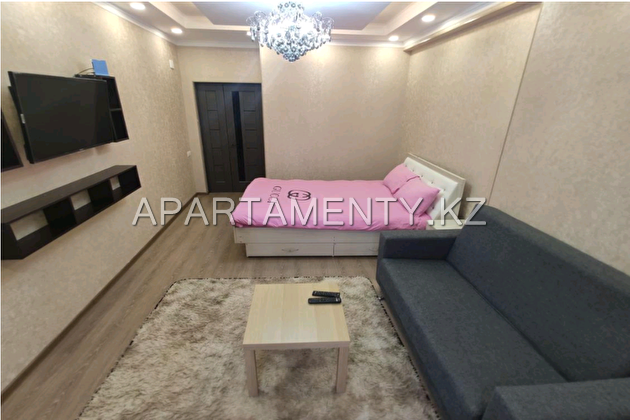 2-room apartment for daily rent, 5/1 Mira str.