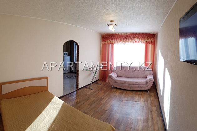 1-room apartment for daily rent