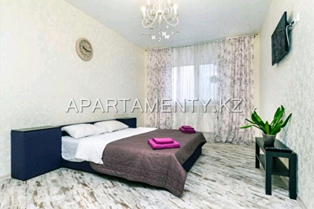 1-room apartment in the city center