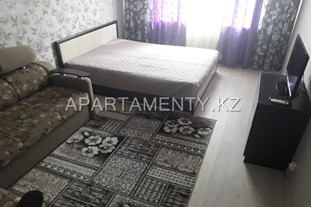 1-room apartment for daily rent in the center