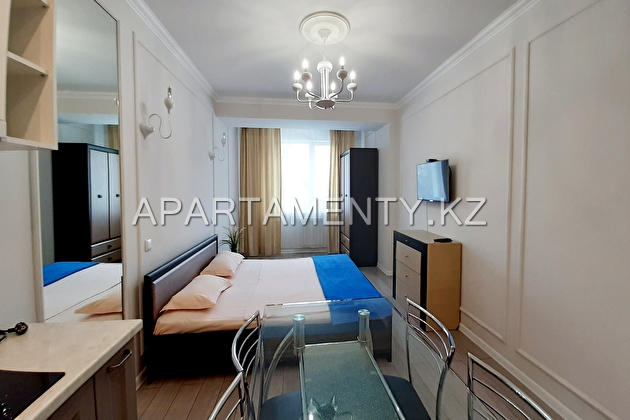 1-room apartment for daily rent, 85 Shevchenko str