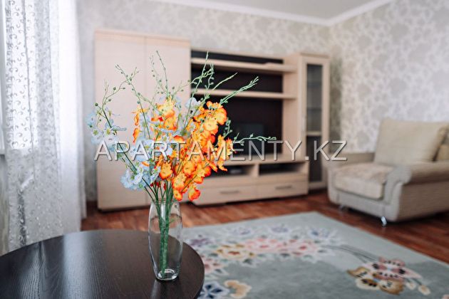 2-room apartment for daily rent, 10 Tkacheva str.