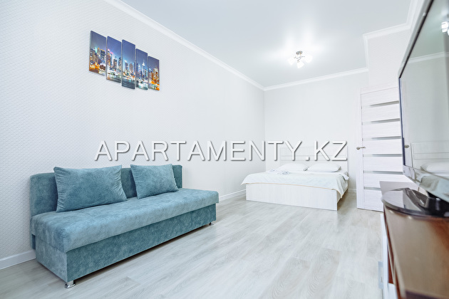 1-room apartment for daily rent in the center