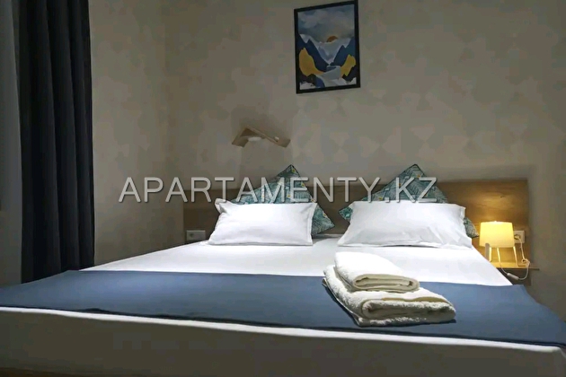 1-room apartments for daily rent in the center