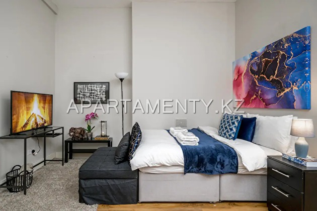 1-room apartment for daily rent, Batys-2