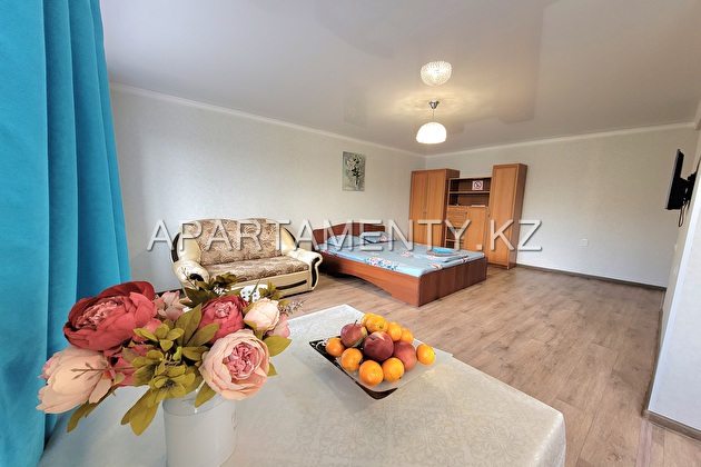 1-room apartment for a day, Abaya 122