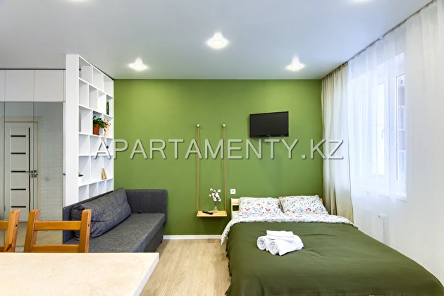 1-room apartment for daily rent, Batys 2